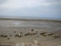 lasgrutas