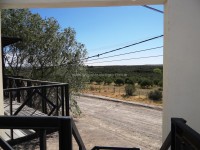 Jorge Te Alquila